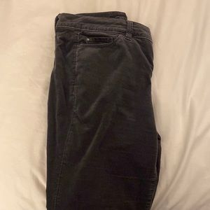 Ann Taylor Petite grey soft pants